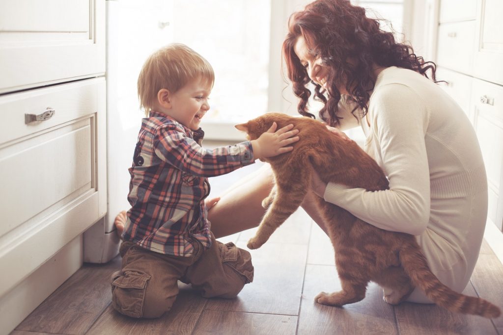 Mother and son playing with the cat