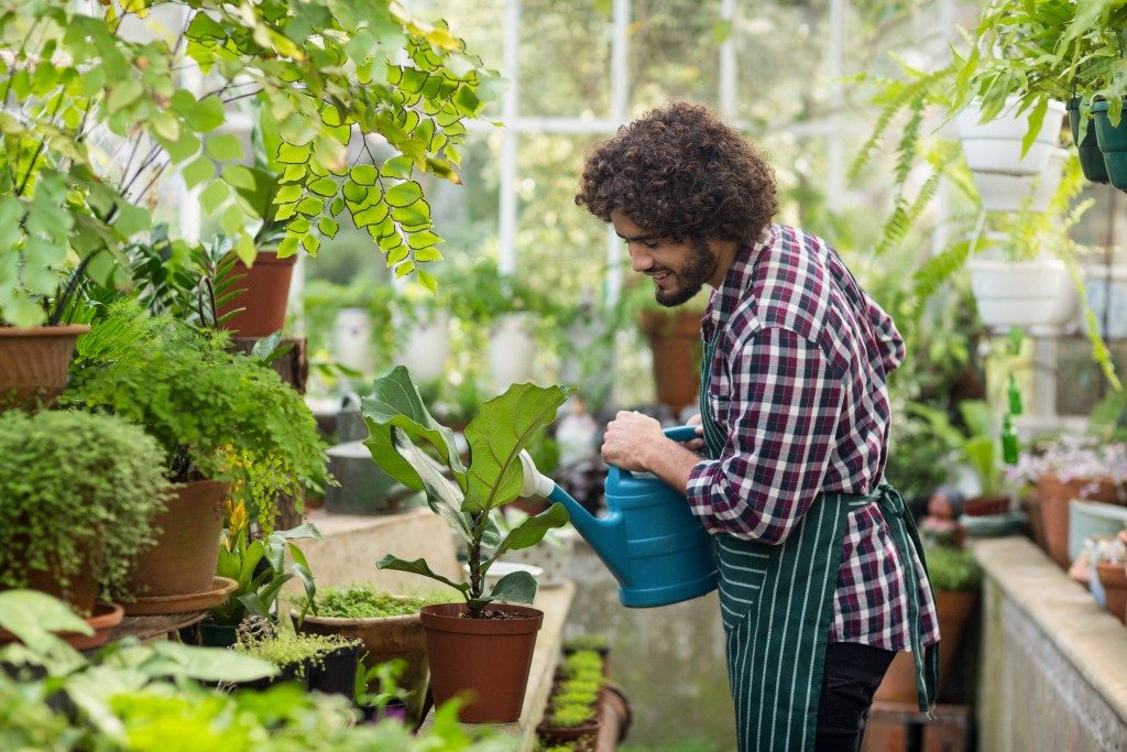 man watering his plants