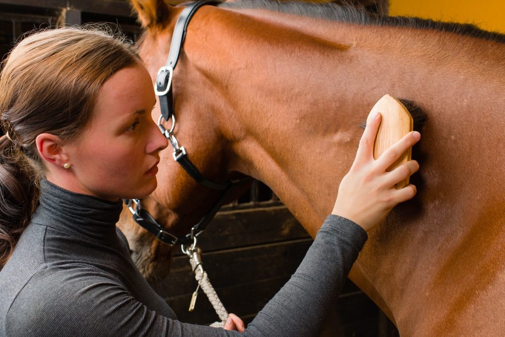 woman grooming a horse