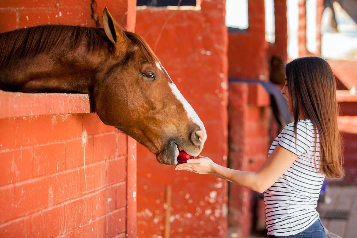 woman giving apple to horse