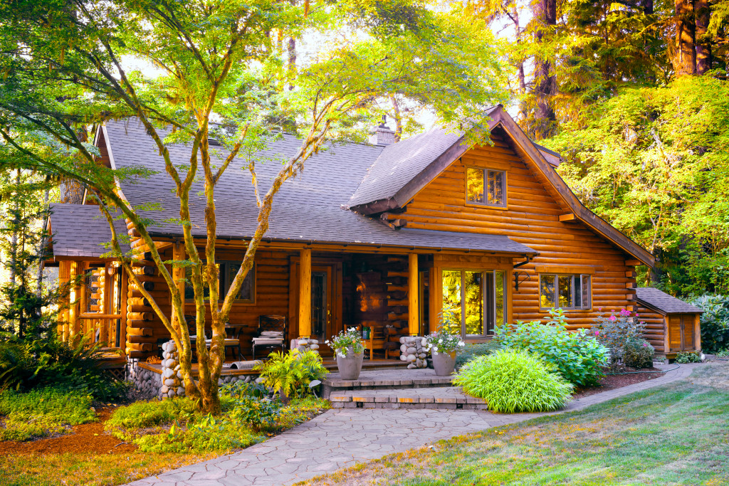 Modern Log Cabin Home in a Forest Environment