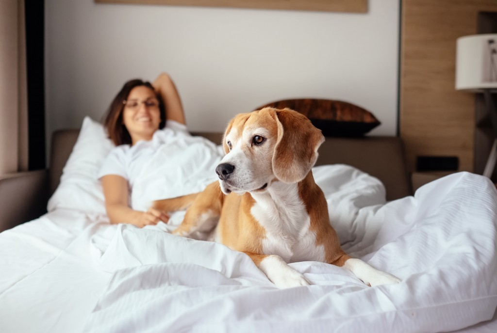 dog and woman in bed