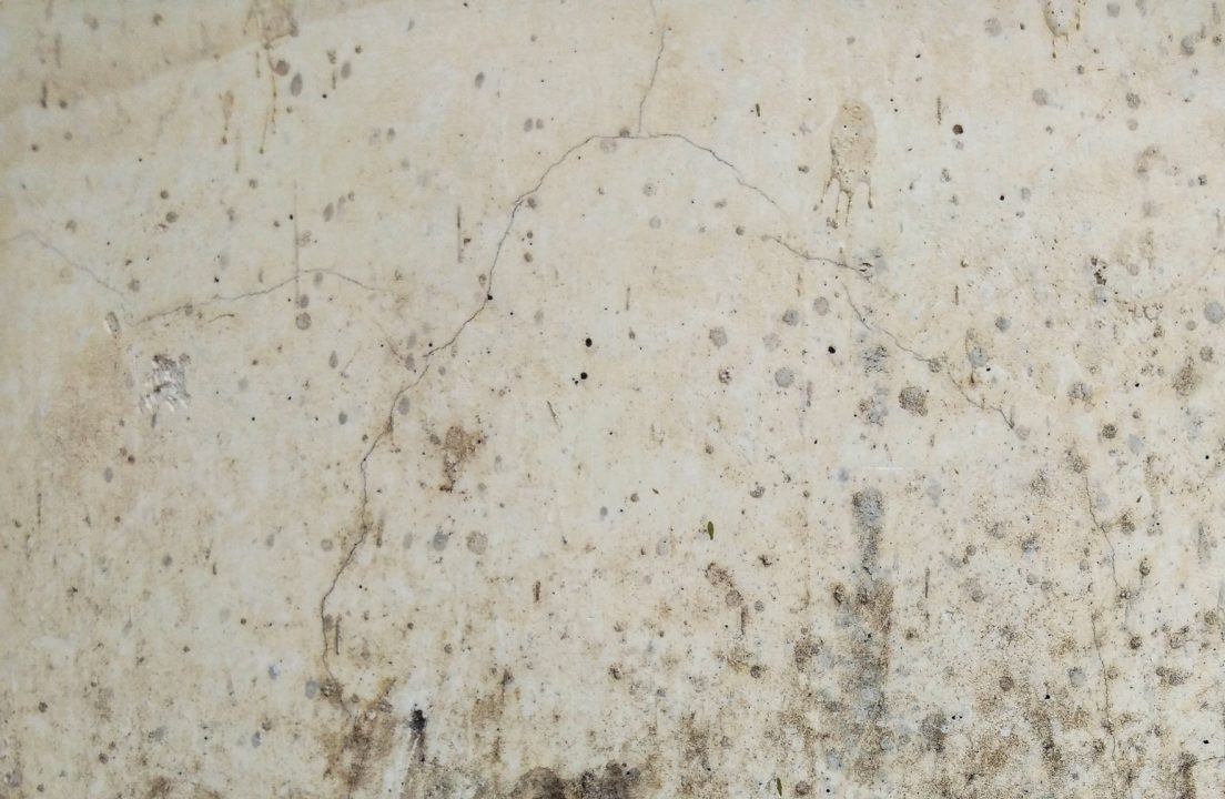 wall mold